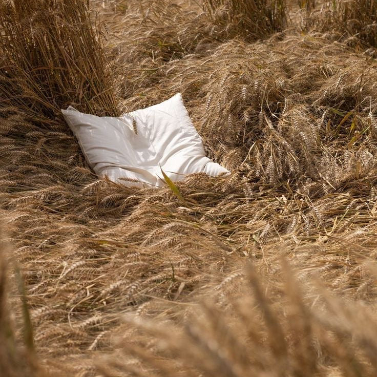 RESET CORTISOL / ESTRATEGIAS DE REGULACION DEL SN